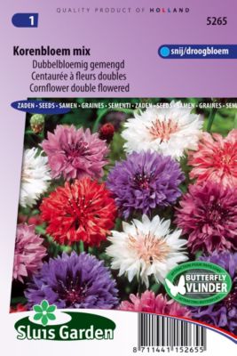 Centaurée à fleurs doubles en mélange Semences - De Fleurs Annuelles - Ca. 1 g