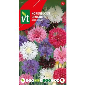 Centauree Variee - Ca. 1 gr   Graines de fleurs