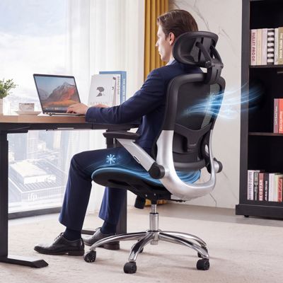 Chaise Bureau Ergonomique Maille, Appui-tête 2D, Accoudoirs 4D, Dossier Haut Bascule 90-125 deg, Assise Large, Noir