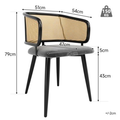 Chaise de Salle à Manger - Lot de 4 Chaises en Velours avec Dossier Confortable et Pieds en Métal - Gris