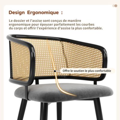 Chaise de Salle à Manger - Lot de 4 Chaises en Velours avec Dossier Confortable et Pieds en Métal - Gris