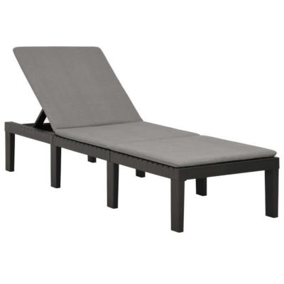 Chaise longue - VIDAXL - Plastique Anthracite - Dossier réglable - Coussin confortable