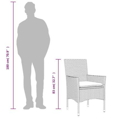 Chaises de jardin avec coussins lot de 2 noir résine tressée vidaXL
