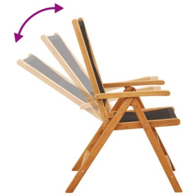 Chaises pliantes (lot de 2) en bois massif d'acacia noir et polypropylène vidaXL