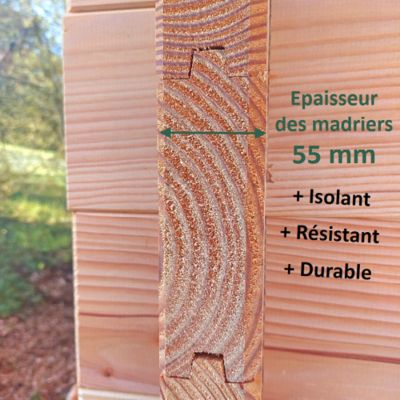 Chalet de jardin TALIPIA 9M² - Bois Douglas épaisseur 55mm - Portes ...
