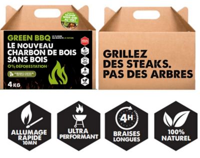 Charbon noyaux d'olives GreenBarbecue 10kg