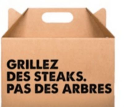 Charbon noyaux d'olives GreenBarbecue 10kg