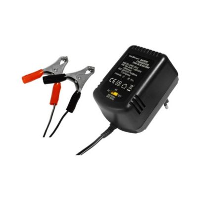 Chargeur Batterie Automatique Universel 2V 6V 12V 600Ma Pinces Crocodiles Motos Jouets Modèles Réduits