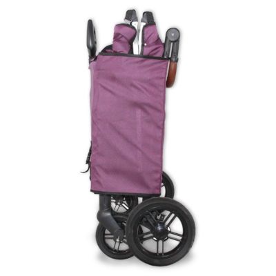 Chariot de jardin pliable Pourpre - FUXTEC Family Cruiser - Banquettes amovibles 4 places transport charge 75 kg