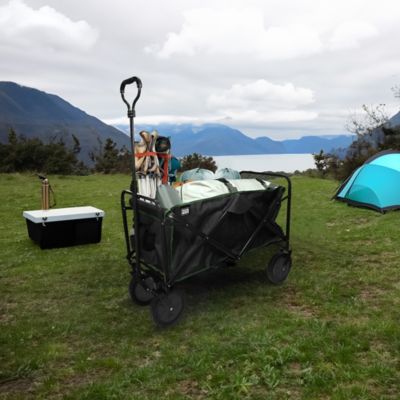 Chariot Pliable Sur Roues Avec Grande Capacité De 100 Kg,roues Tout