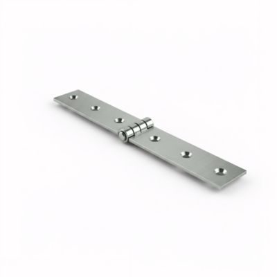 Charnière de coffre acier zingué Diall 30 x 160 mm