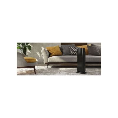 Chauffage d'appoint électrique avec ventilateur Olimpia Splendid 99266 Noir