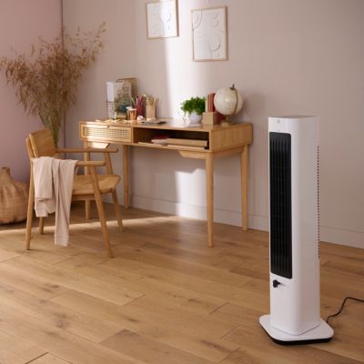 Chauffage d'appoint réversible Goodhome 2200W