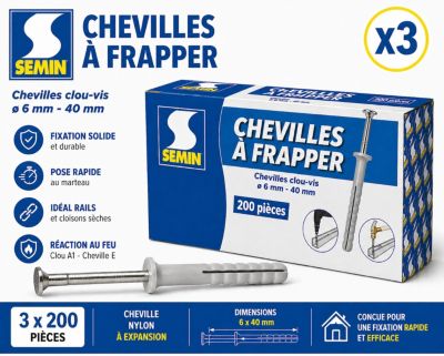 Cheville Clous Vis à Frapper Semin, 6 x 40 mm, Boite de 200 (lot de 3)