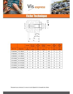Cheville à frapper - 50 mm - Diamètre 15 mm - EA II - Boîte de 25 pièces - Fischer