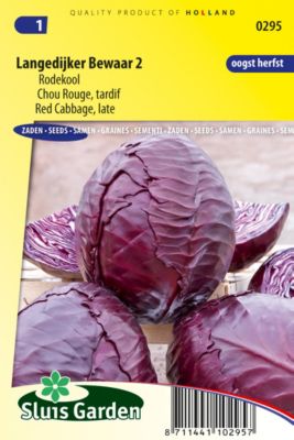 Chou rouge tardif Langedijker Bewaar 2 Semences - Les variétés de choux ...