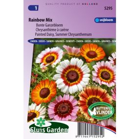 Chrysanthème à carène Rainbow Mix - Graines De Fleurs Annuelles - Ca. 0,7 g