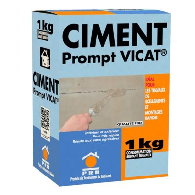 Ciment Prompt Naturel Vicat 1kg - Prise Ultra-Rapide, Haute Résistance Initiale - Idéal pour Réparations Express, Maçonnerie,