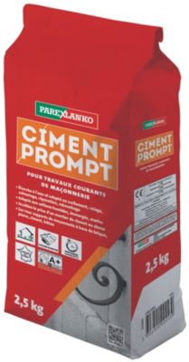 Ciment prompt pour travaux courants de maçonnerie 2,5 kg Parexlanko