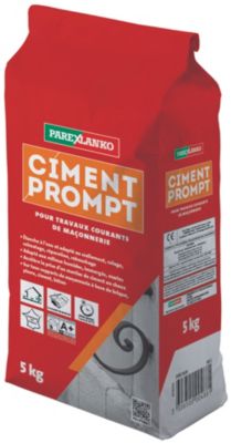 Ciment prompt pour travaux courants de maçonnerie 5 kg Parexlanko