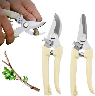 Cisailles de jardin avec poignées verrouillables pour tailler les jardins, les buissons, les haies, les branches