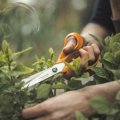 Ciseau de jardin Fiskars orange 21 cm