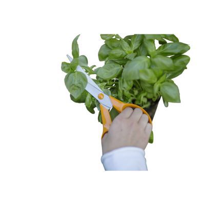 Ciseau de jardin Fiskars orange 21 cm