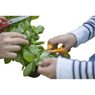 Ciseau de jardin Fiskars orange 21 cm