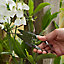 Ciseaux de jardin Durum GoodHome 14 x 3,6 cm