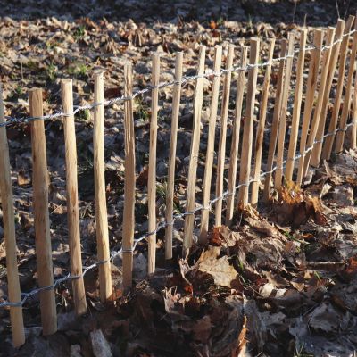 Clôture de 50 m Rollboarder de 35 cm Clôture de jardin en bois de noisetier Aquagart