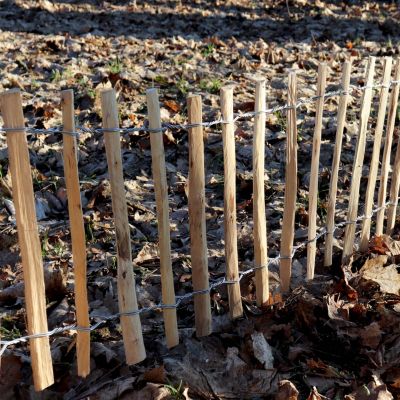 Clôture de 50 m Rollboarder de 35 cm Clôture de jardin en bois de noisetier Aquagart
