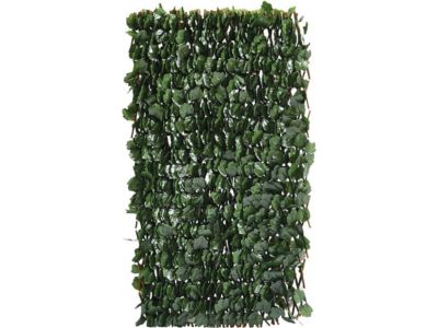 Clôture en treillis de saule "Fragon"  200 x 100 cm  Vert