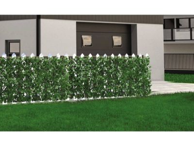Clôture en treillis de saule "Fragon"  200 x 100 cm  Vert