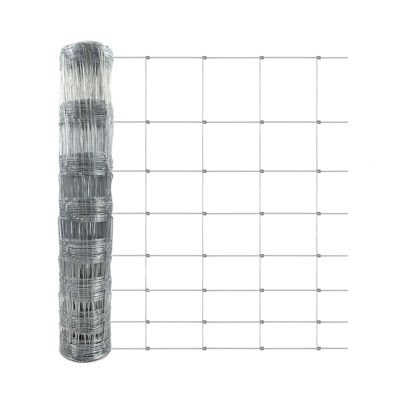 Clôtures forestière Galvanisé 120 cm x 50 m, Largeur de maille: 15 cm - Floordirekt