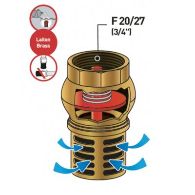 Clapet crépine laiton F20-27 (3/4") or