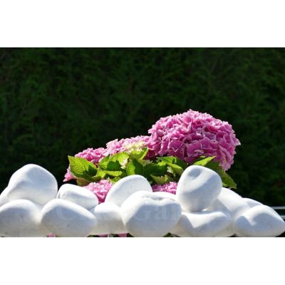 ClassGarden - Galet Blanc Brillant 60-100