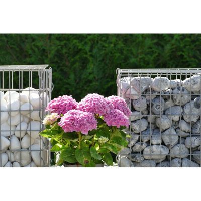 ClassGarden - Galet Blanc Brillant 60-100