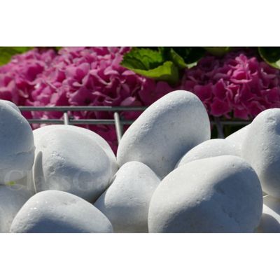 ClassGarden - Galet Blanc Brillant 60-100
