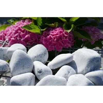 ClassGarden - Galet Gris Clair 60-100