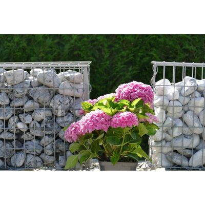 ClassGarden - Galet Gris Clair 60-100