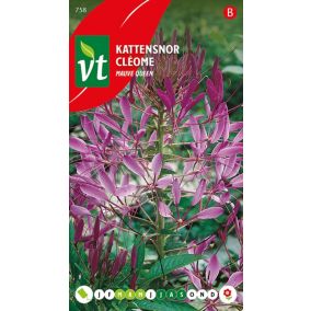 Cleome Mauve Queen - Ca. 0,5 gr