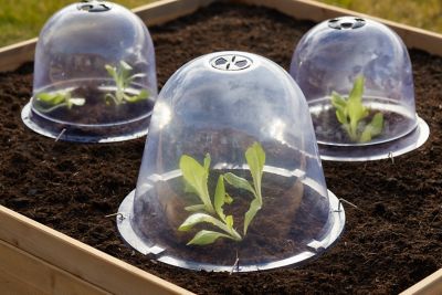 Cloches à Salade Reaxdays - Lot De 32, Protection Gel & Escargots - 22x19x19 Cm, Transparent - Pour Jeunes Plantes