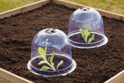 Cloche à salade petit modèle Verve en polyéthylène transparent Ø25,5 x H.20,5 cm