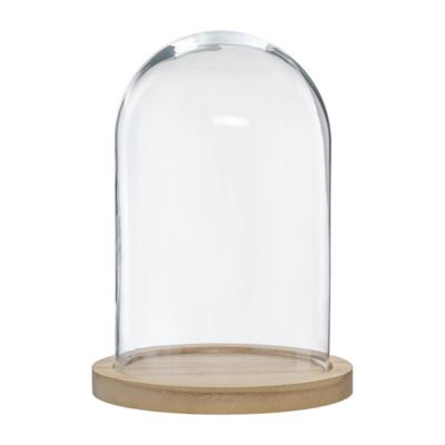 Cloche verre et bois - transparent - H26 cm - Atmosphera