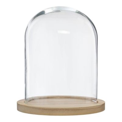 Cloche verre et bois - transparent - H29 - 5 cm - Atmosphera