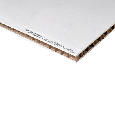 Cloison alvéolaire Planodis 250 x 120 cm, ép.5 mm (vendue à la plaque) zone « Nord »
