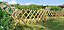 Clôture extérieure bois croisillons Blooma Ibar vert 250 x h.80 cm