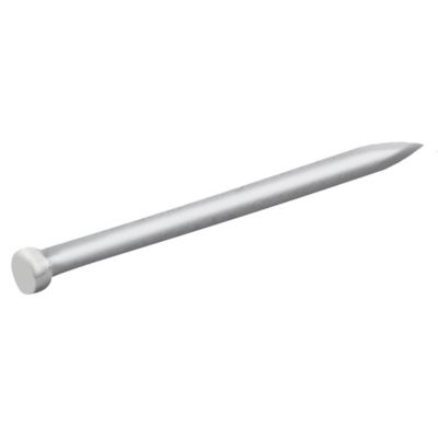 Clous à tête d'homme ronde en acier galvanisé 1,6x30 - 5kg