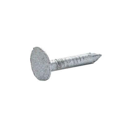 Clous à tête plate en acier galvanisé 3x20 - 125g