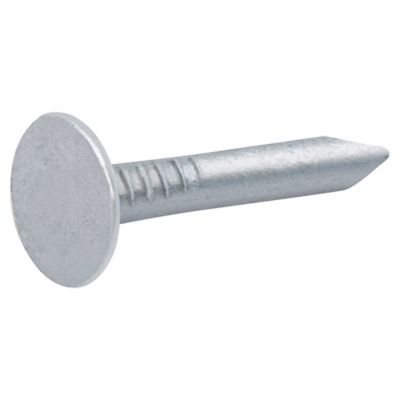 Clous à tête plate en acier galvanisé 3x20 - 2kg